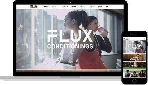 FLUX CONDITIONINGS
